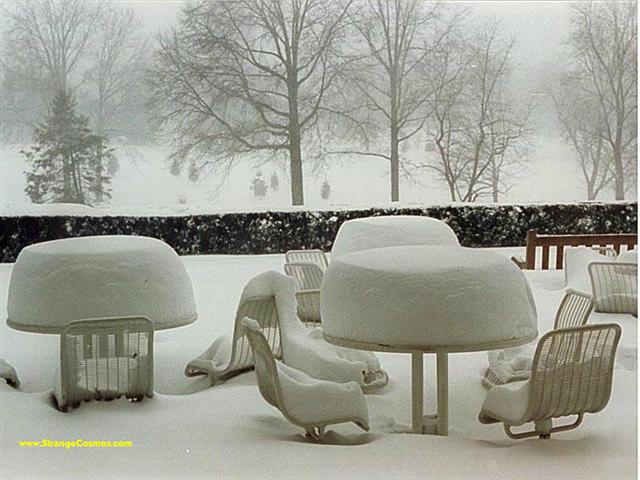 Why I live in California